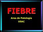 FIEBRE - slide 1