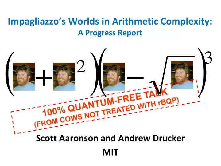 impagliazzo s worlds in arithmetic complexity a progress report