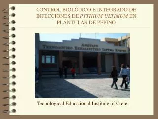 CONTROL BIOLÓGICO E INTEGRADO DE INFECCIONES DE PYTHIUM ULTIMUM EN PLÁNTULAS DE PEPINO