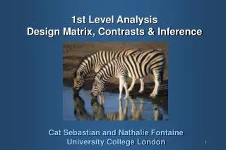 1st Level Analysis Design Matrix, Contrasts &amp; Inference