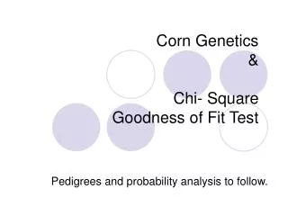 Corn Genetics &amp; Chi- Square Goodness of Fit Test