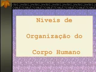 Níveis de Organização do Corpo Humano