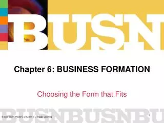Chapter 6: BUSINESS FORMATION
