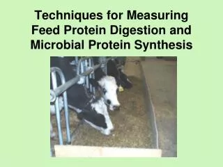 Techniques for Measuring Feed Protein Digestion and Microbial Protein Synthesis