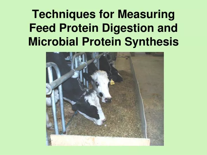 techniques for measuring feed protein digestion and microbial protein synthesis