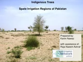 Indigenous Trees Spate Irrigation Regions of Pakistan