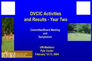 DVCIC Activities and Results - Year Two