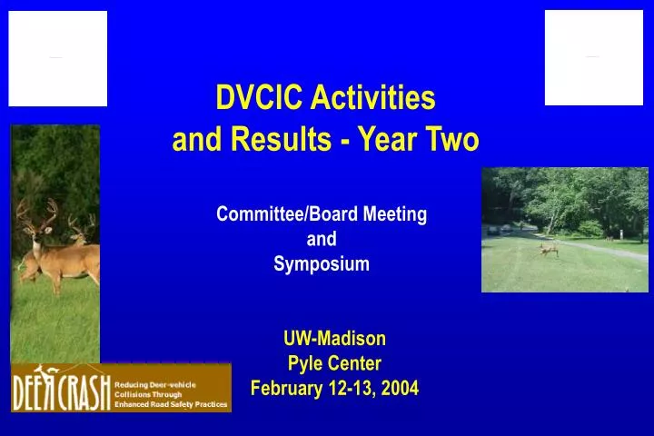 dvcic activities and results year two