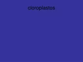 cloroplastos