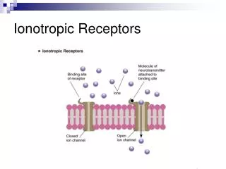 Ionotropic Receptors