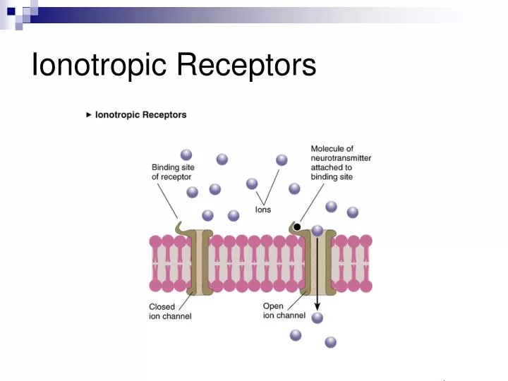 ionotropic receptors