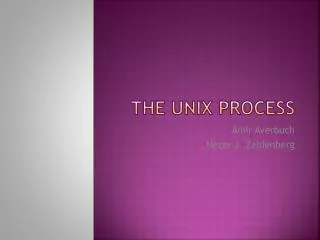The UNIX process