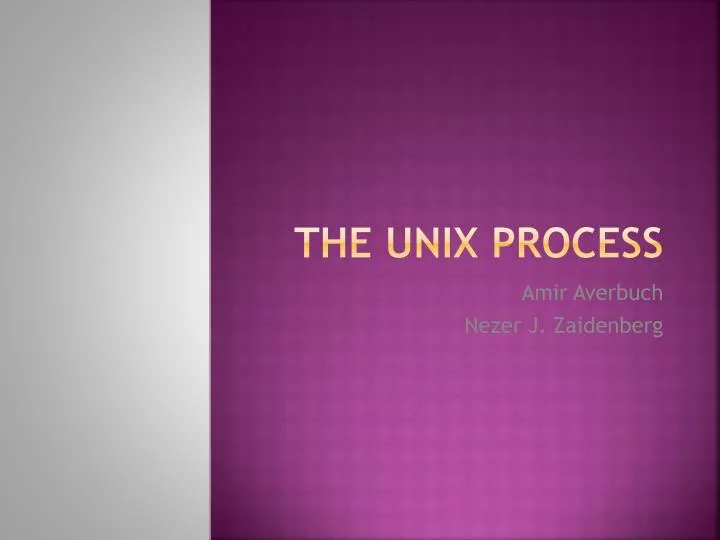 the unix process