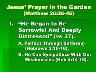 Jesus’ Prayer in the Garden (Matthew 26:36-46)