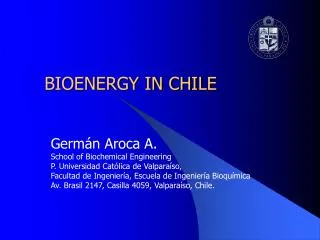 BIOENERGY IN CHILE