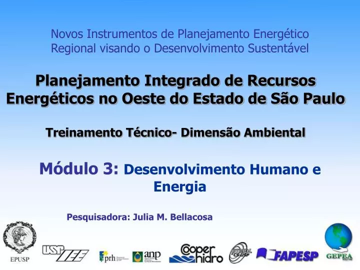 novos instrumentos de planejamento energ tico regional visando o desenvolvimento sustent vel