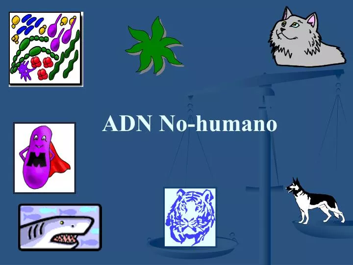 adn no humano
