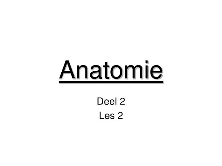 anatomie