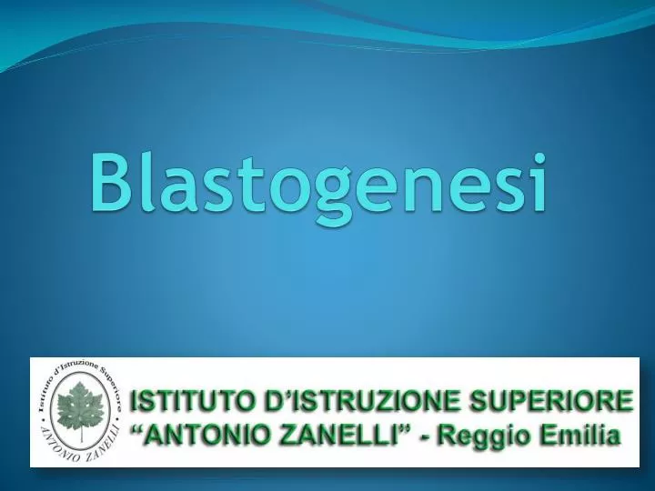 blastogenesi