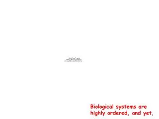 Biological systems are highly ordered, and yet,