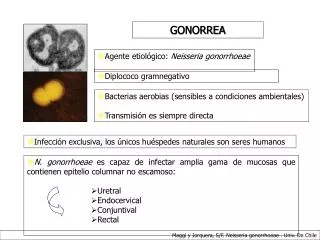 Agente etiológico: Neisseria gonorrhoeae