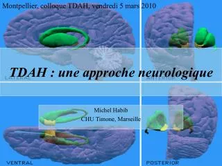 tdah une approche neurologique