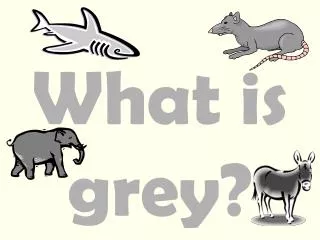 What is grey?