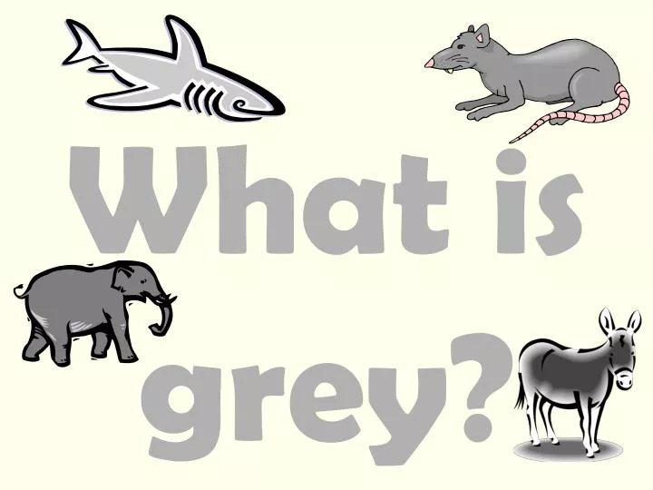 what is grey