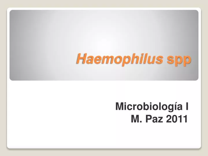 haemophilus spp