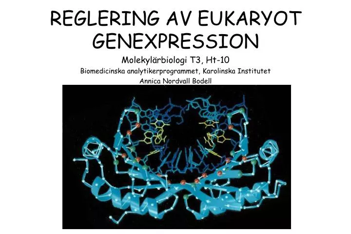reglering av eukaryot genexpression