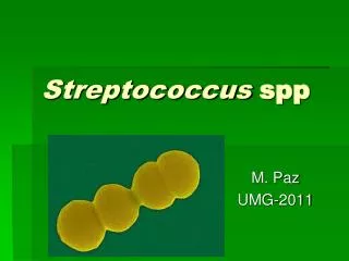 streptococcus spp