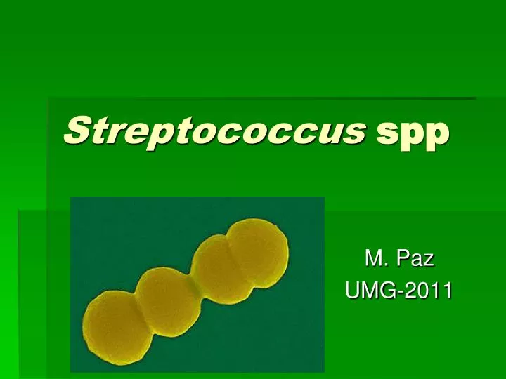 streptococcus spp