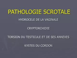 pathologie scrotale
