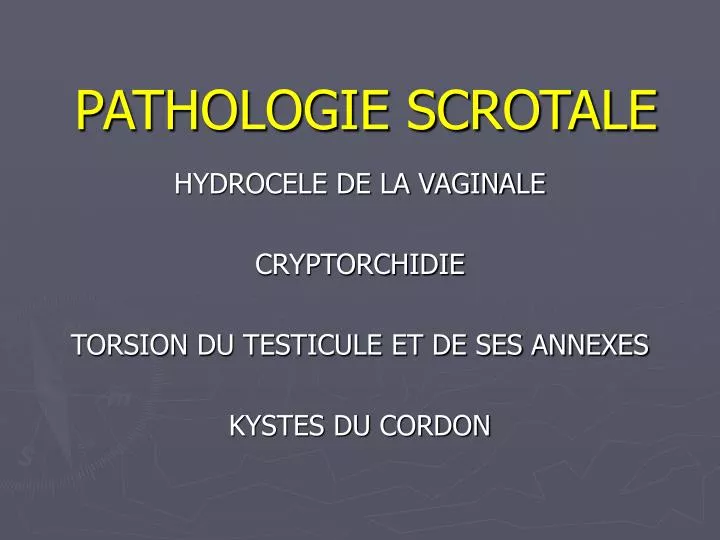 pathologie scrotale