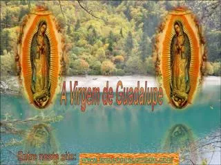 A Virgem de Guadalupe