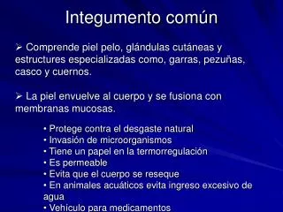 integumento com n