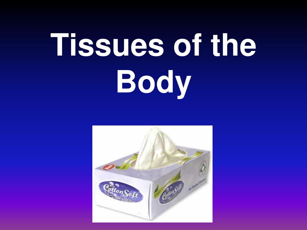 PPT - Tissues of the Body PowerPoint Presentation, free download - ID:88979