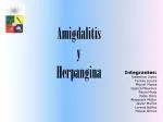 Amigdalitis y Herpangina - slide 1