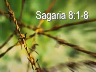 Sagaria 8:1-8