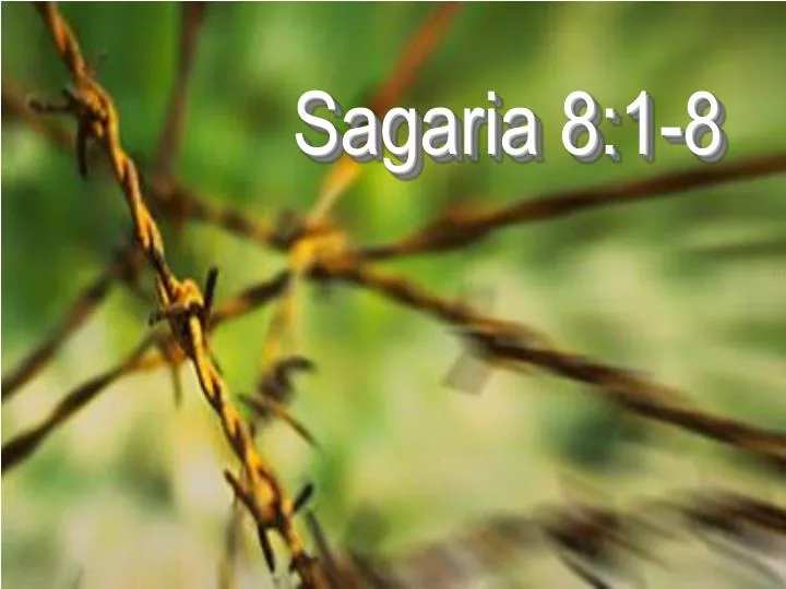 sagaria 8 1 8