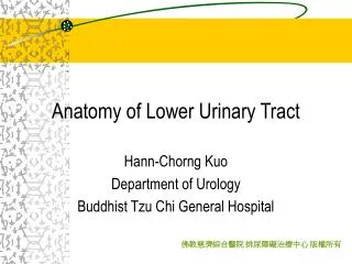 Anatomy of Lower Urinary Tract