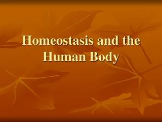 Homeostasis and the Human Body