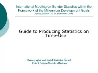 International Meeting on Gender Statistics within the Framework of the Millennium Development Goals Aguascalientes, 19-