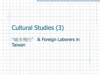 cultural studies 3