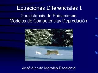 Coexistencia de Poblaciones: Modelos de Competenciay Depredación. José Alberto Morales Escalante