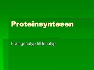 Proteinsyntesen