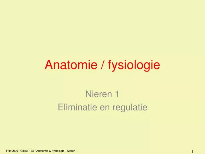 anatomie fysiologie