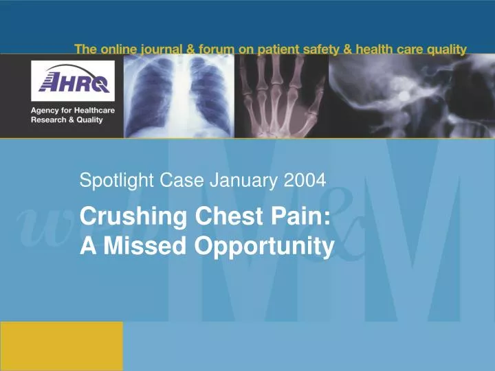 spotlight case january 2004