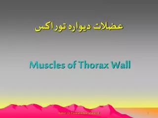 Muscles of Thorax Wall