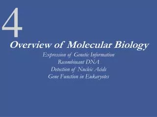 Overview of Molecular Biology Expression of Genetic Information Recombinant DNA Detection of Nucleic Acids Gene Function